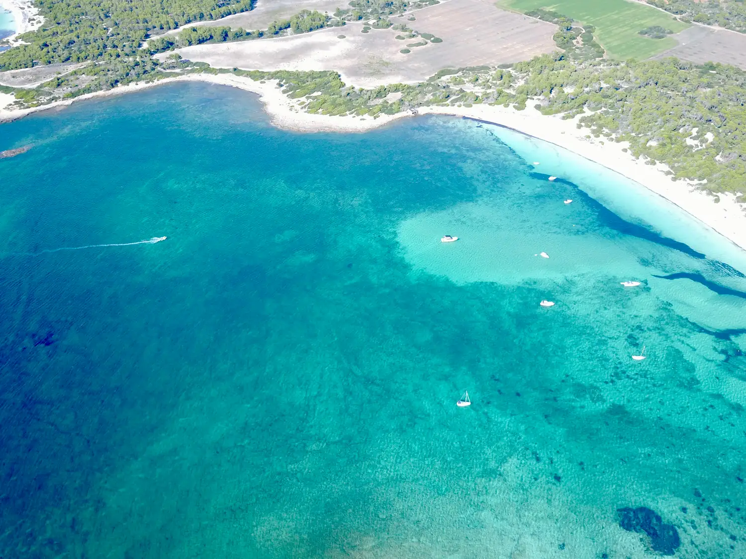 Luftaufnahme der Bucht Es Carbó mit hellen Sandflächen, dunklem Seegras und ankernden Booten.